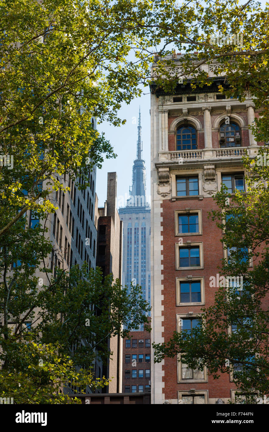 Summer in Midtown Manhattan, New York City with views on skyscrapers framed by london trees. Stock Photo