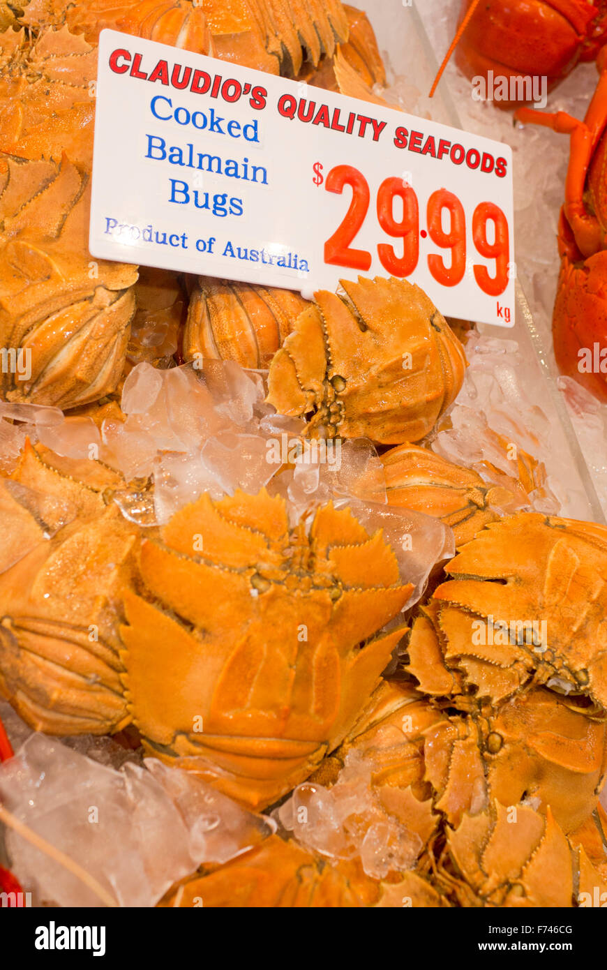 Balmain bugs for sale on stall at Sydney Fish Market NSW Australia Stock Photo