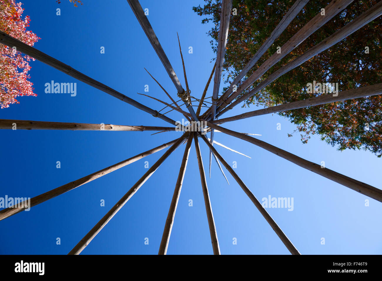 Looking up towards the top of a Tipi that is missing its traditional animal hide covering. Algonquin Provincial Park, Ontario, C Stock Photo