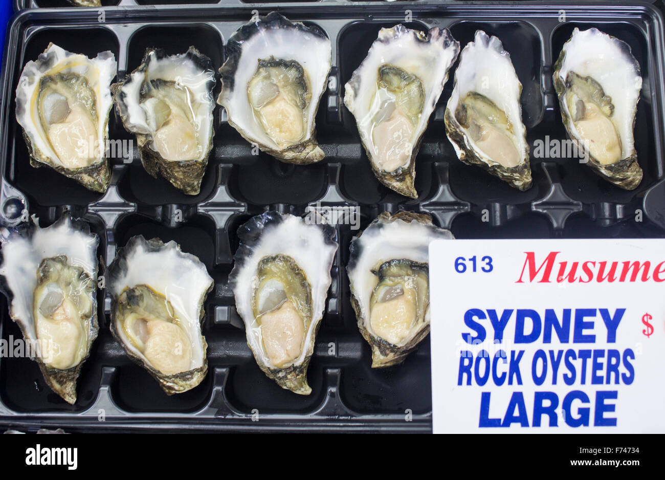 Sydney rock oysters on sale at stall at Sydney Fish Market New South Wales NSW Australia Stock Photo