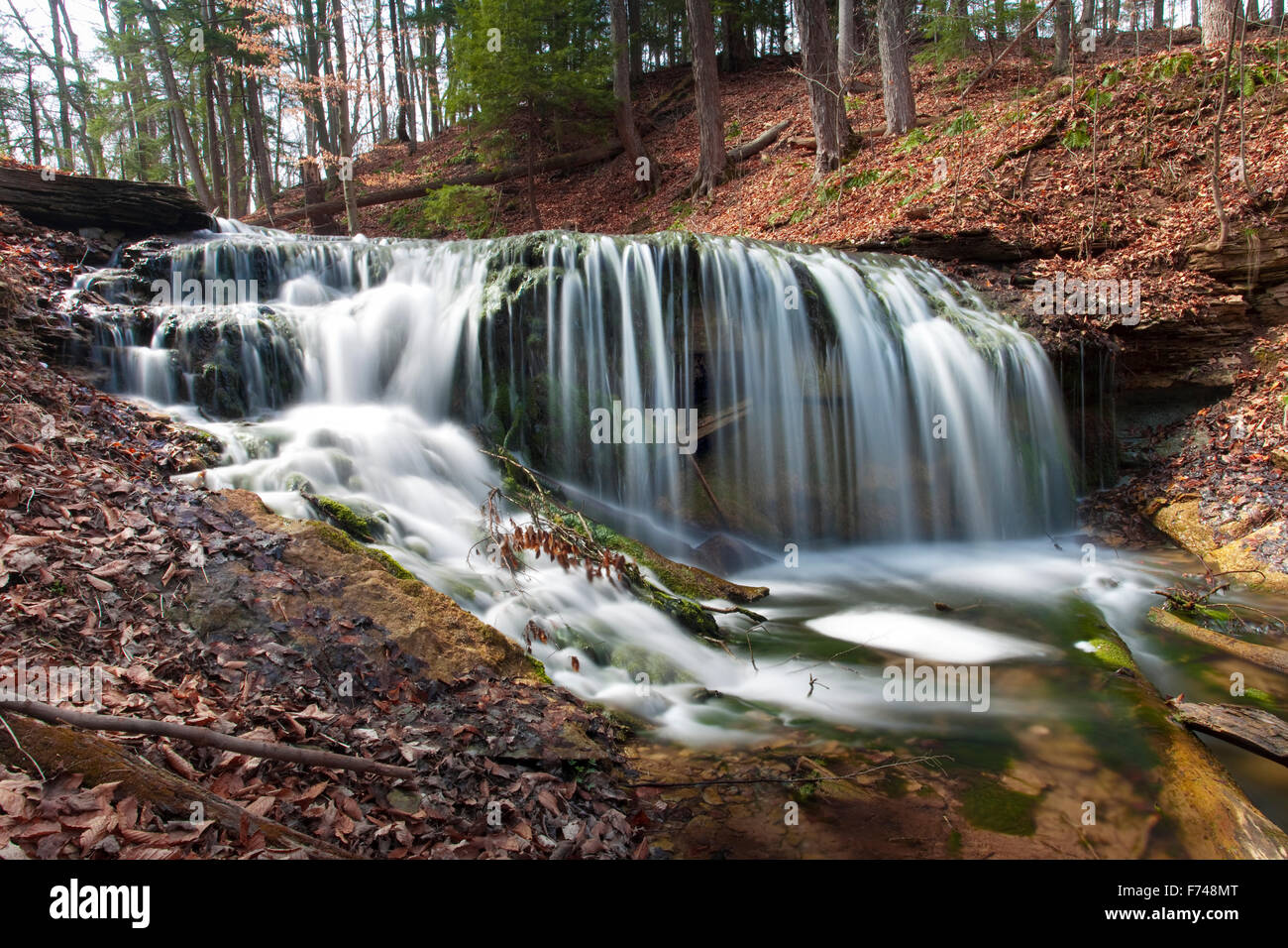 North America, Canada, Ontario, Owen Sound, Weavers Creek Falls Stock Photo