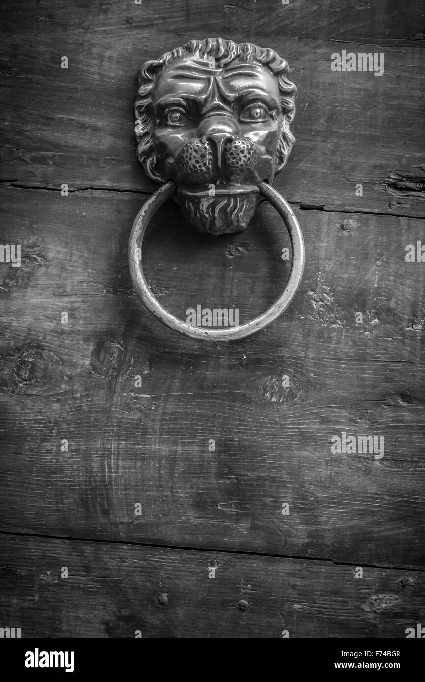 An old knocker in the shape of lion on an old door. Stock Photo