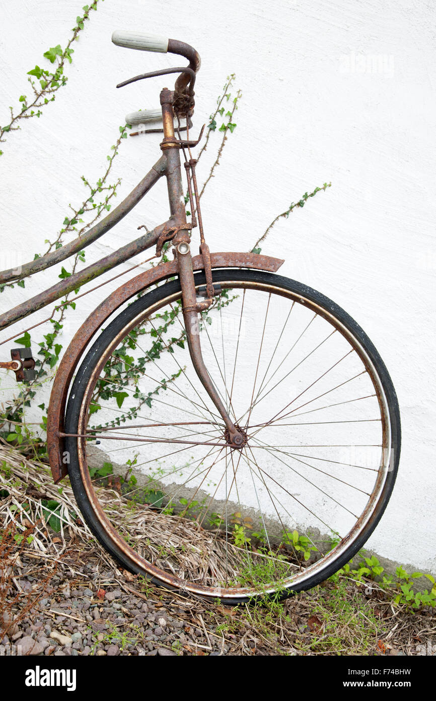 Old Bike Wheel against White Wall Stock Photo Alamy