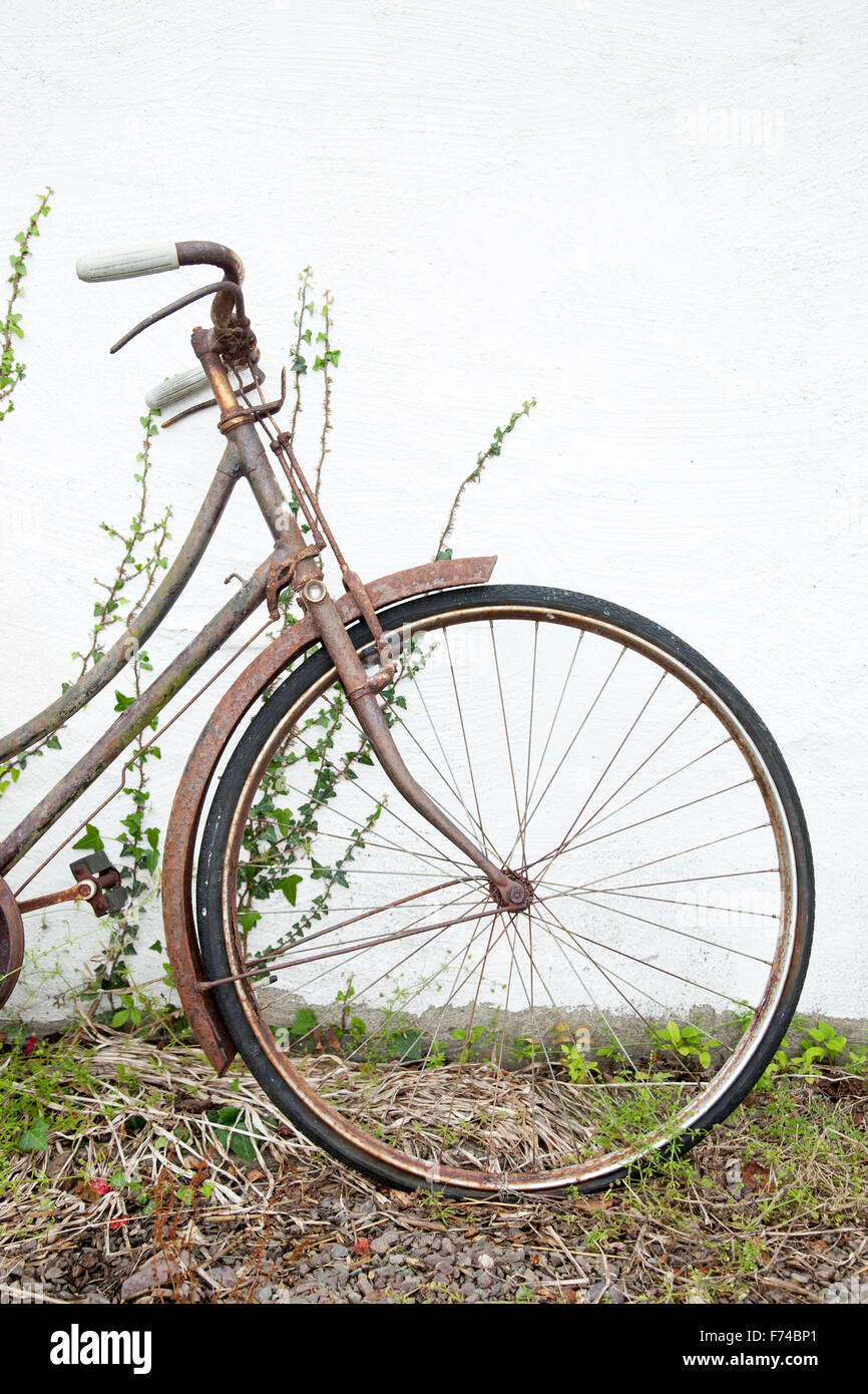 Old Bike Wheel against White Wall Stock Photo Alamy