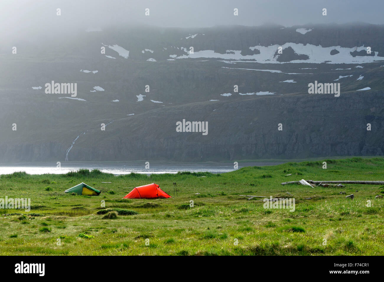 Camping tents, Hornstrandir nature reserve, Westfjords, Iceland, Europe