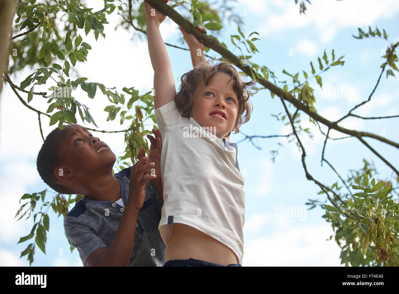 Two kids on a tree climbing and helping each other Stock Photo - Alamy