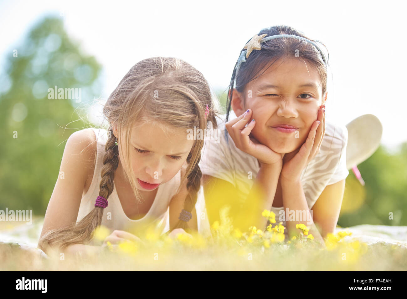 Two happy girls in summer in the nature Stock Photo