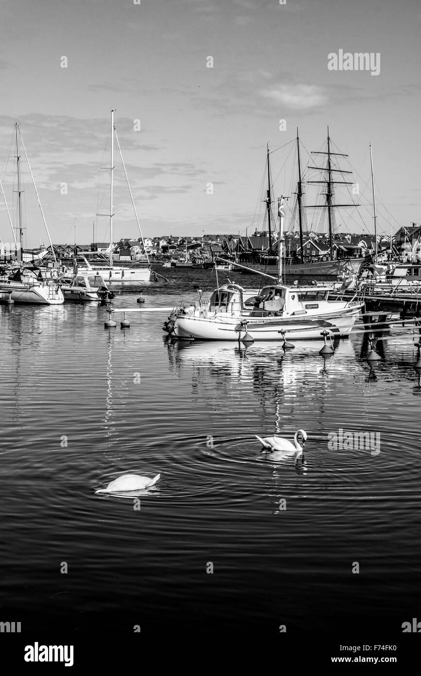 Black and White Boats Stock Photo - Alamy