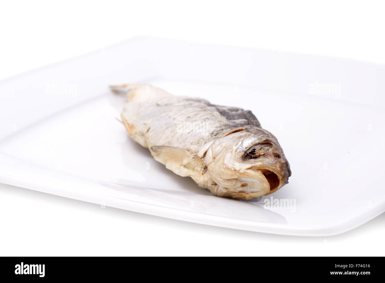 Fish Stock Photo