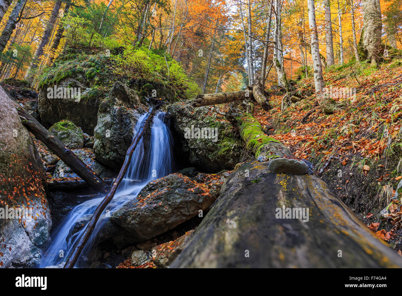 Autumn waterfall in the middle of forest Stock Photo - Alamy