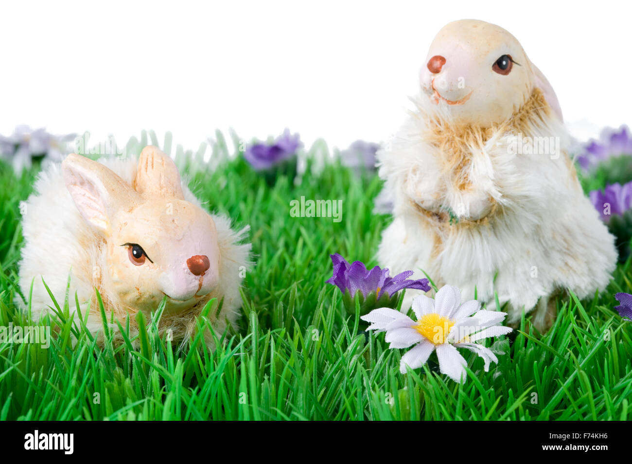 Grass and bunnies hi-res stock photography and images - Alamy
