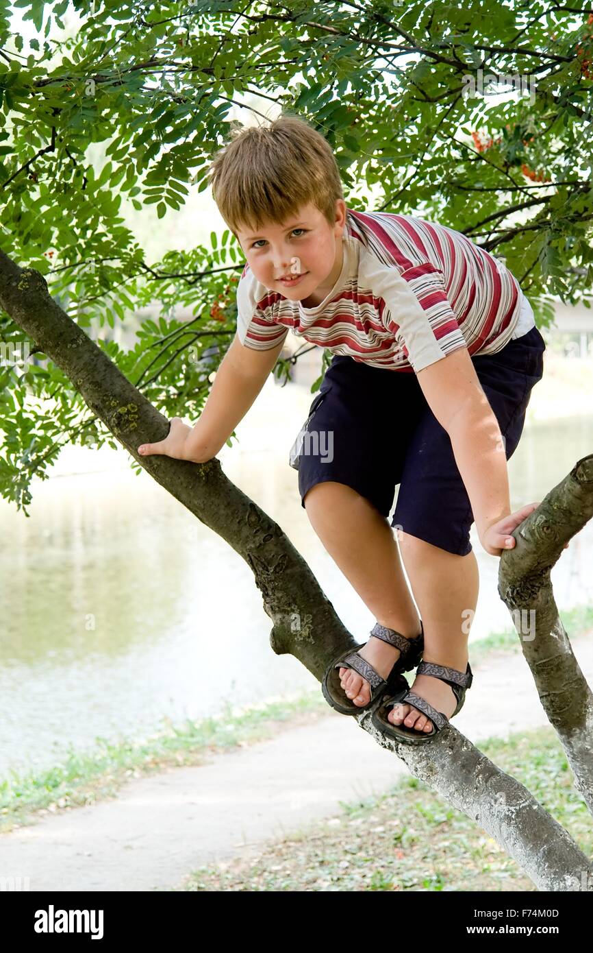 boy on a tree Stock Photo - Alamy