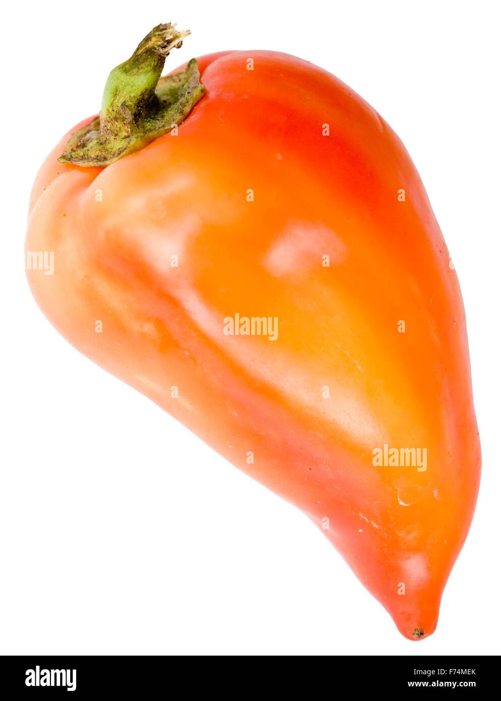 Red sweet pepper Stock Photo Alamy