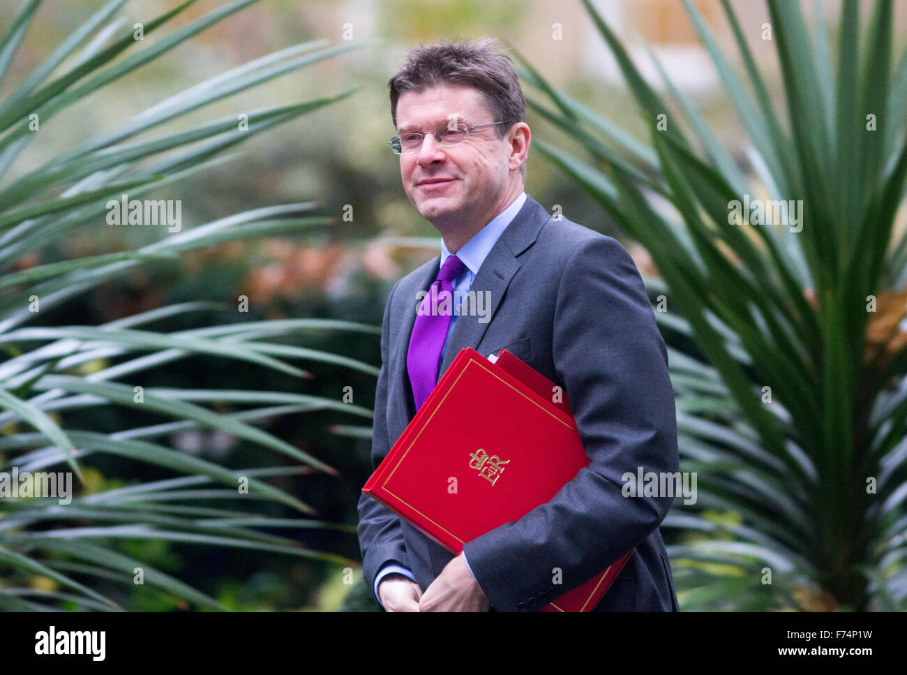 Communities and Local Government Secretary,Greg Clarke, arrives at 10 Downing street for a cabinet meeting Stock Photo