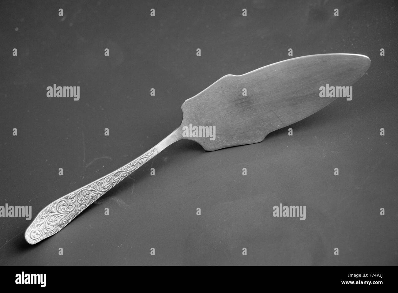Metal kitchen shovel Stock Photo Alamy