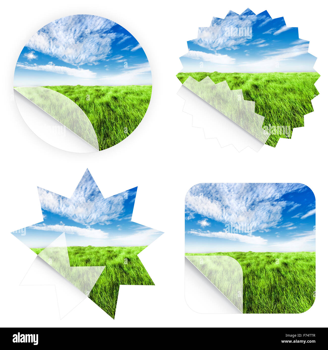 Beautiful grass stickers Stock Photo Alamy