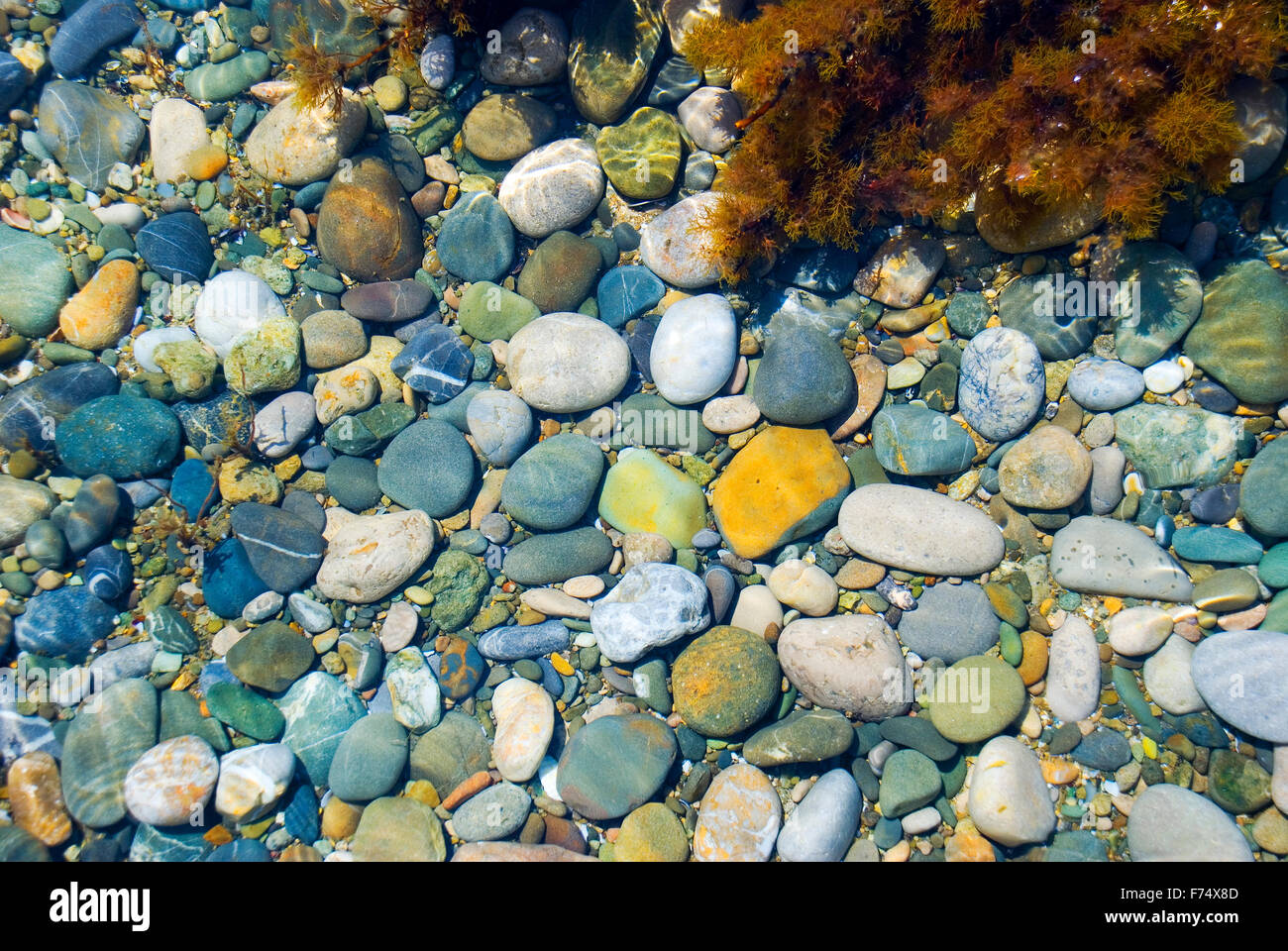 Sea color pebble Stock Photo - Alamy