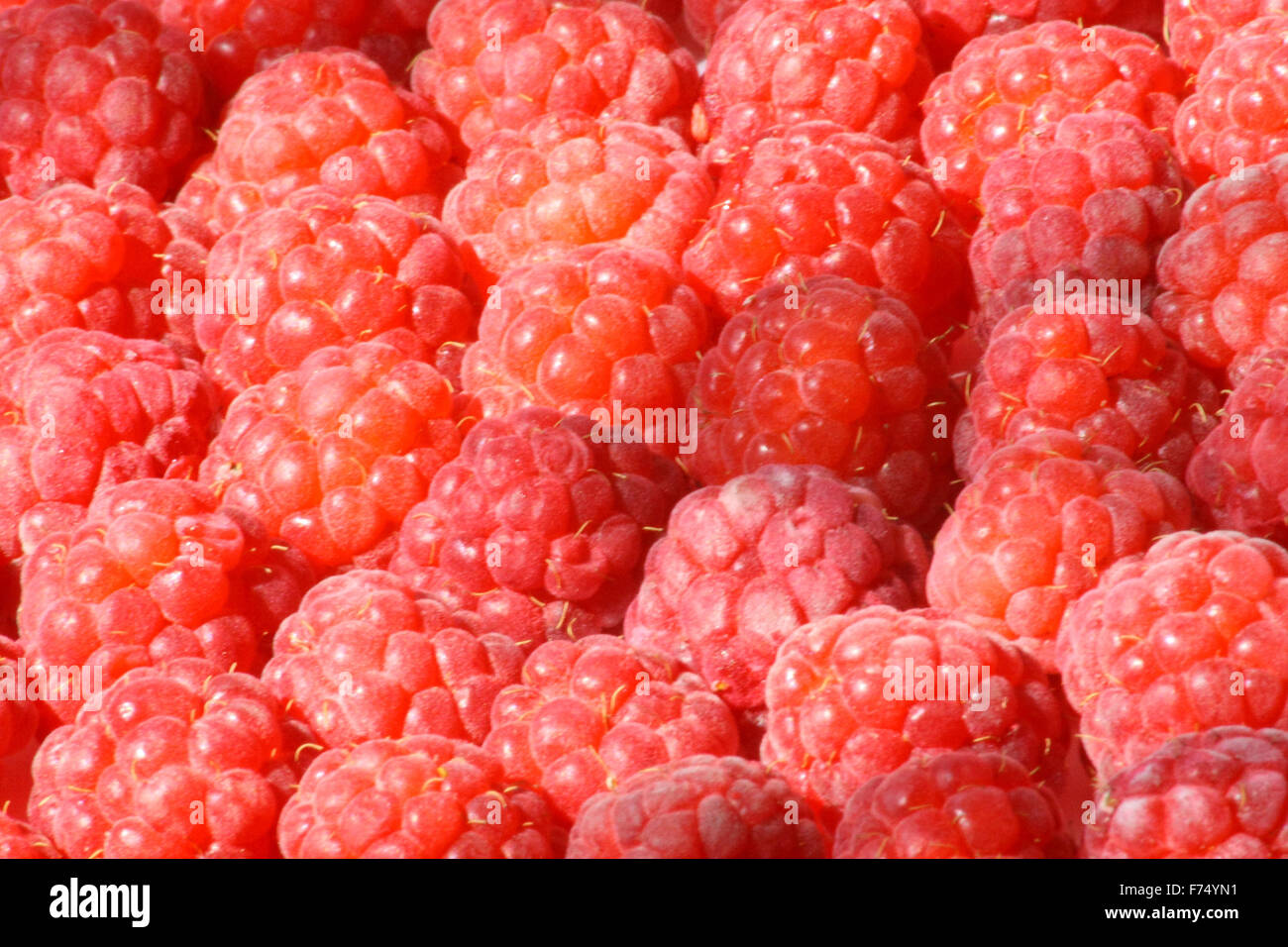 Raspberry background Stock Photo
