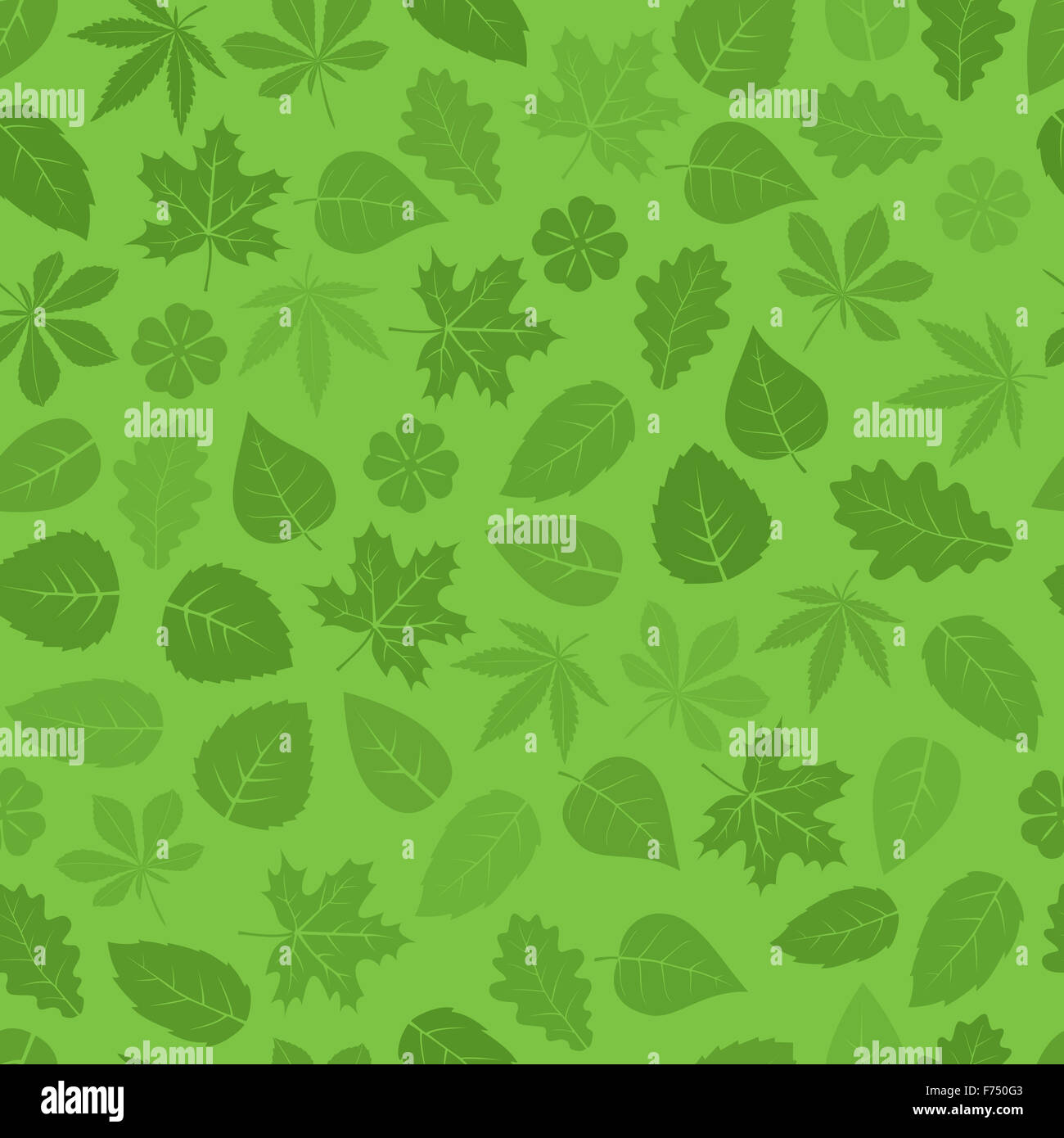 Seamless green leaves pattern background Stock Photo - Alamy