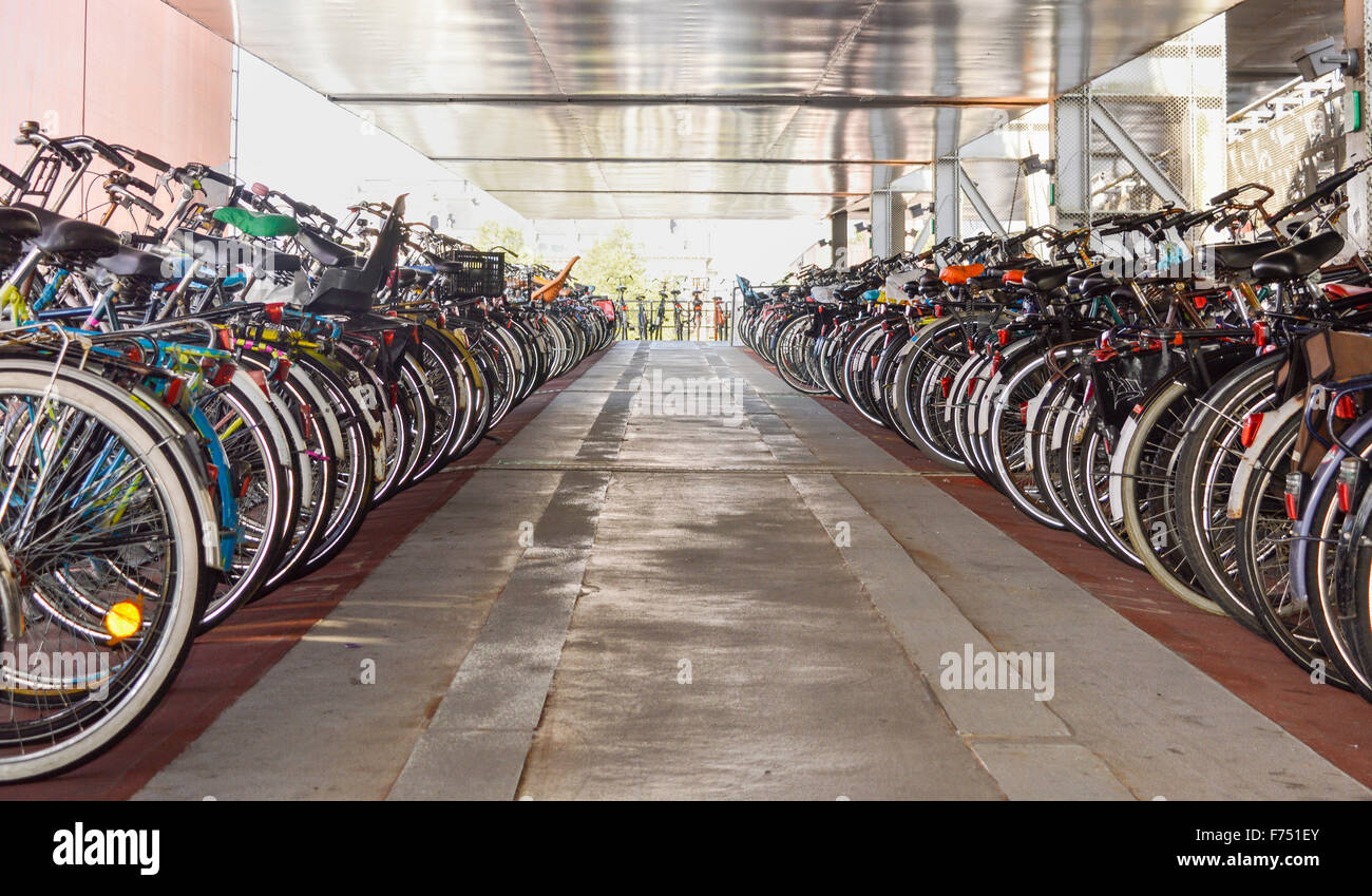 Organized bicycle parking in Amsterdam city centre, Netherlands Stock Photo