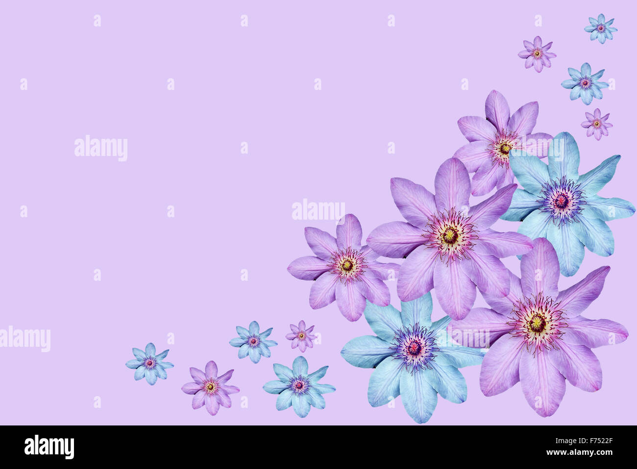 Colour harmony hi-res stock photography and images - Alamy