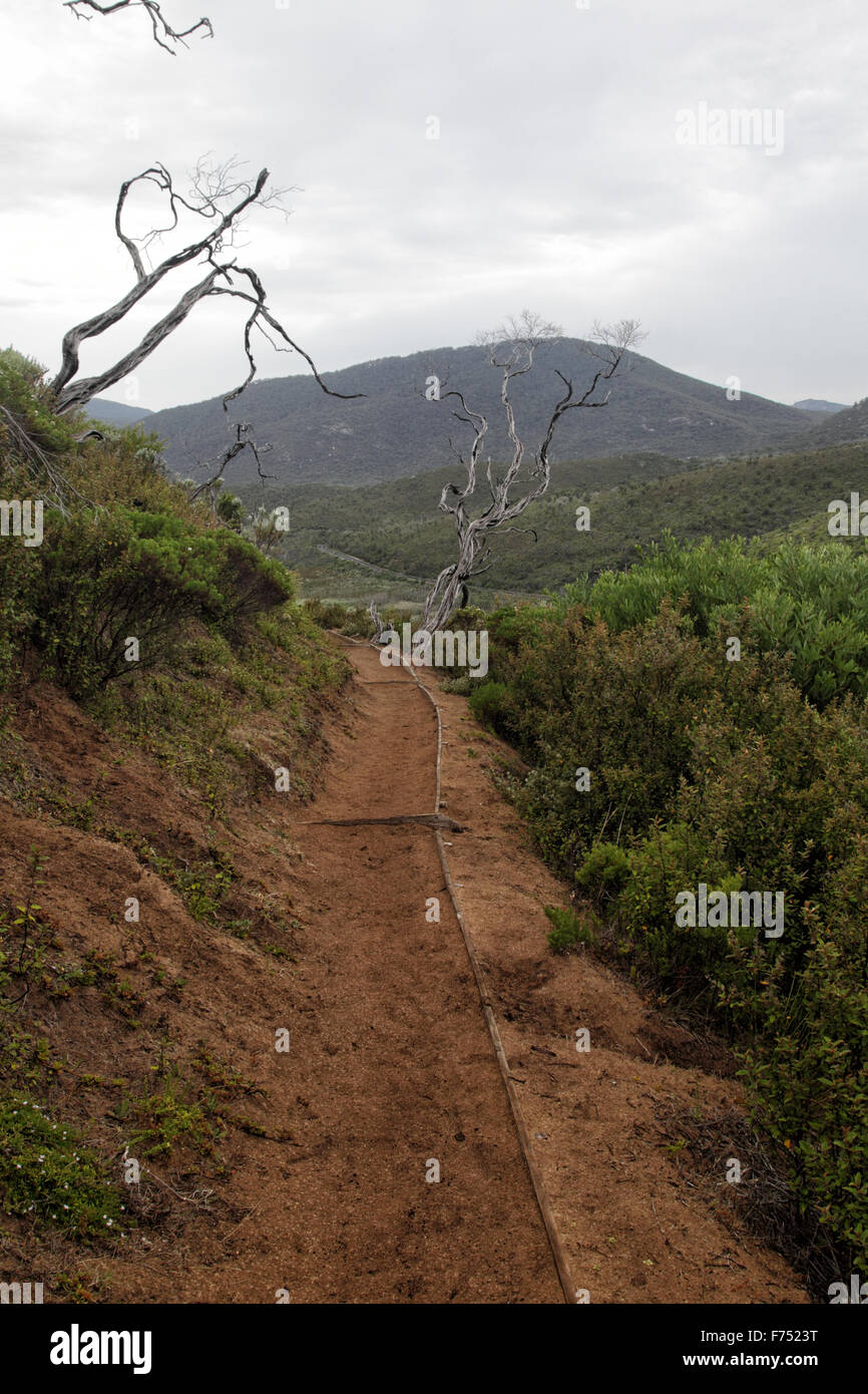 Hiking Trail on the Tounge Point Track in the Wilsons Promontory National Park, Victoria, Australia. Stock Photo