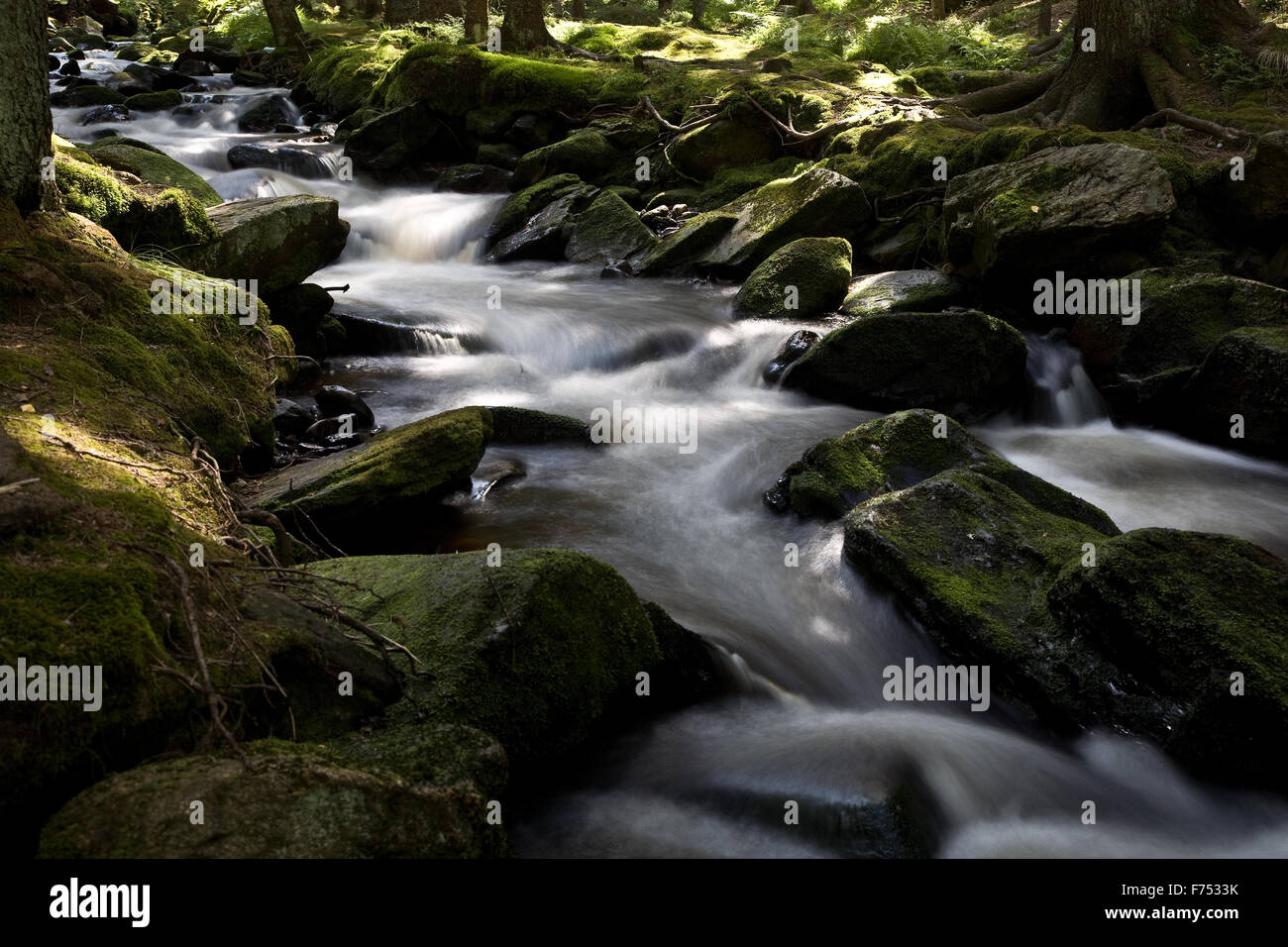 Forest stream water flow stones hi-res stock photography and images - Alamy