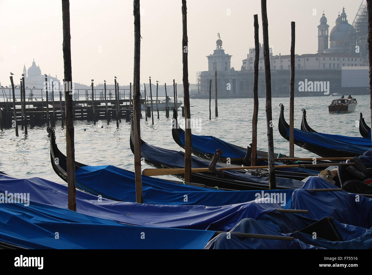 Gondolas in the Venetian Lagoon Stock Photo - Alamy