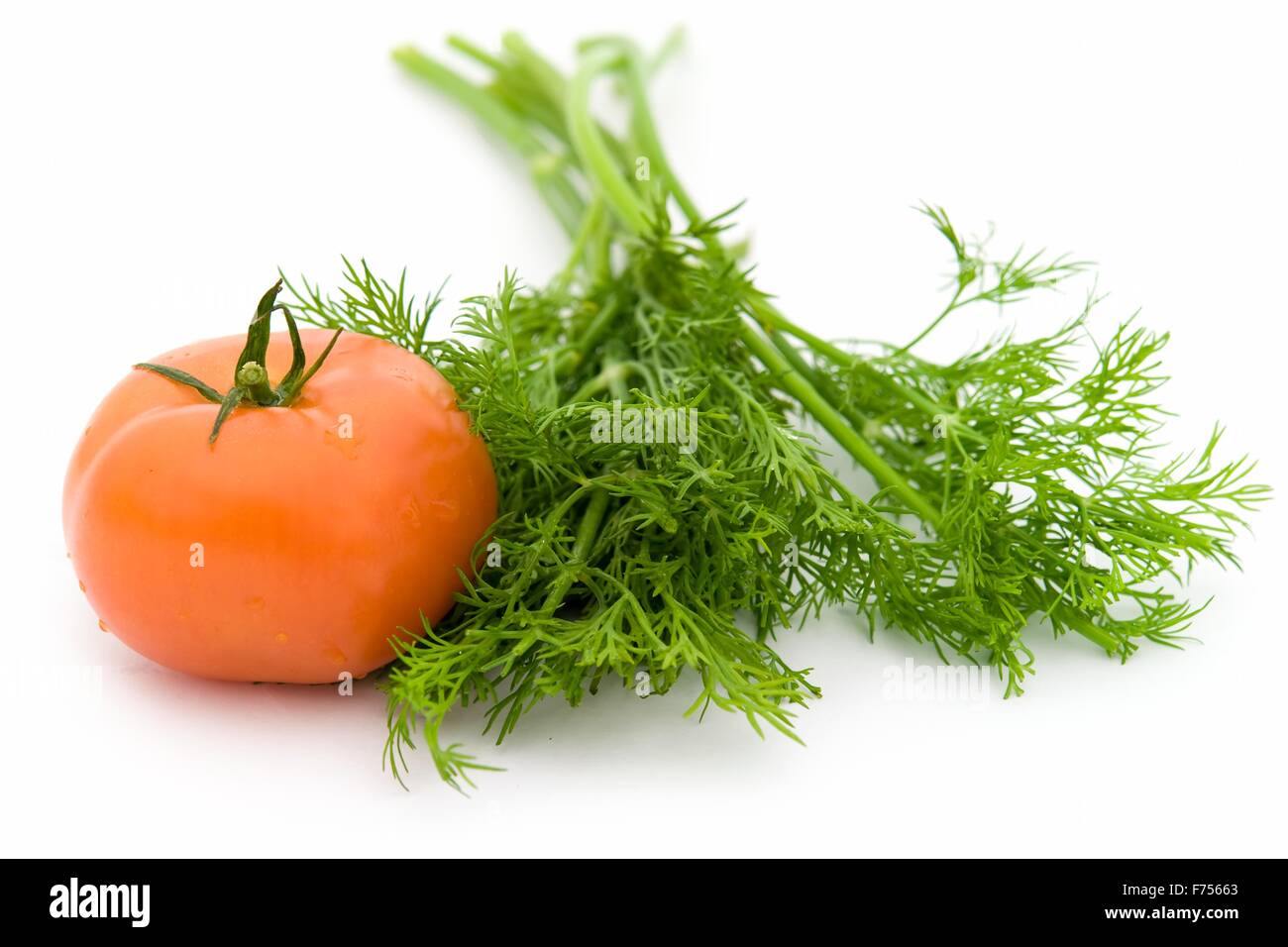 green dill and red tomato Stock Photo Alamy