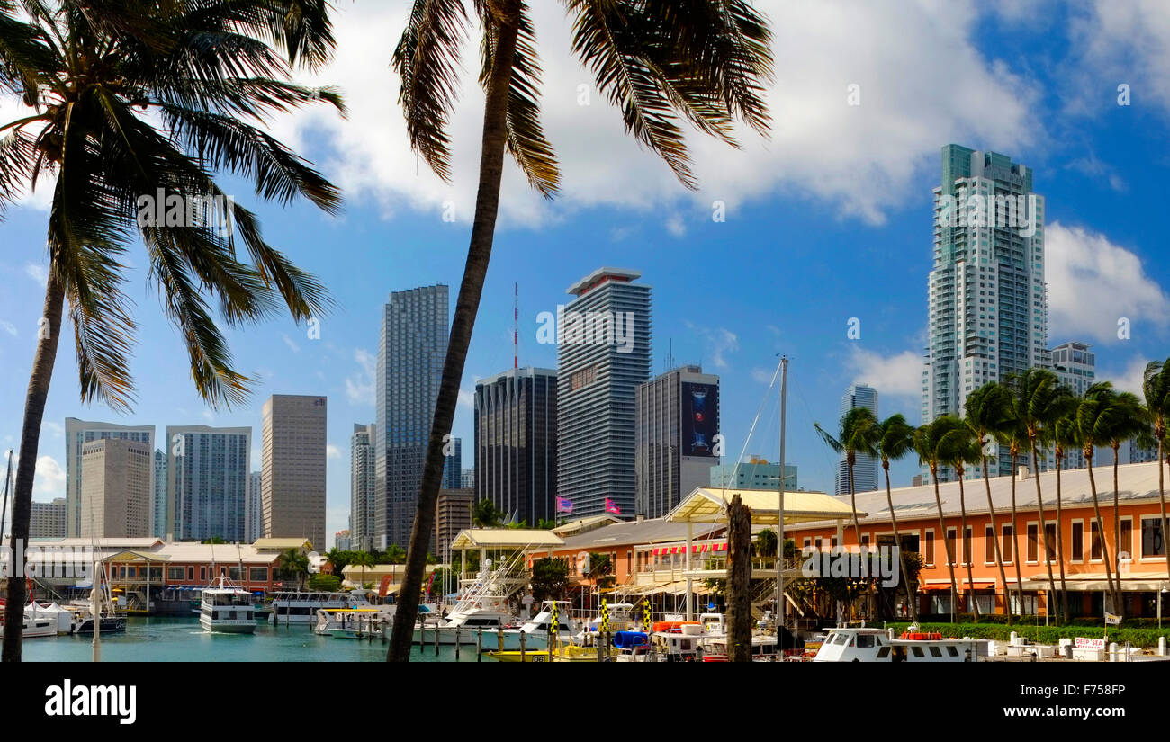 Miami skyline viewed over marina, Florida, USA Stock Photo