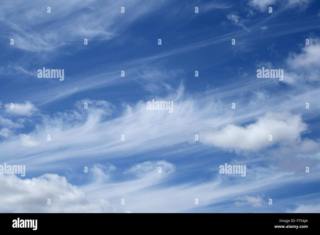 Curly white clouds in the blue sky Stock Photo - Alamy