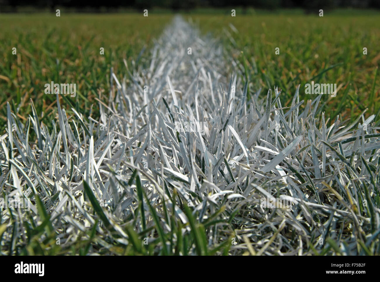 Closeup of boundary line on a football field Stock Photo Alamy