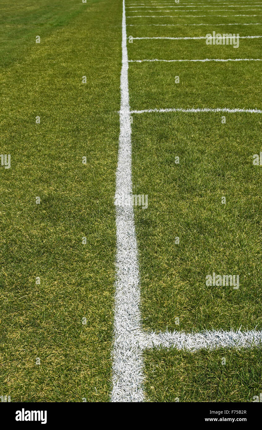 Side boundary line of a football field Stock Photo Alamy