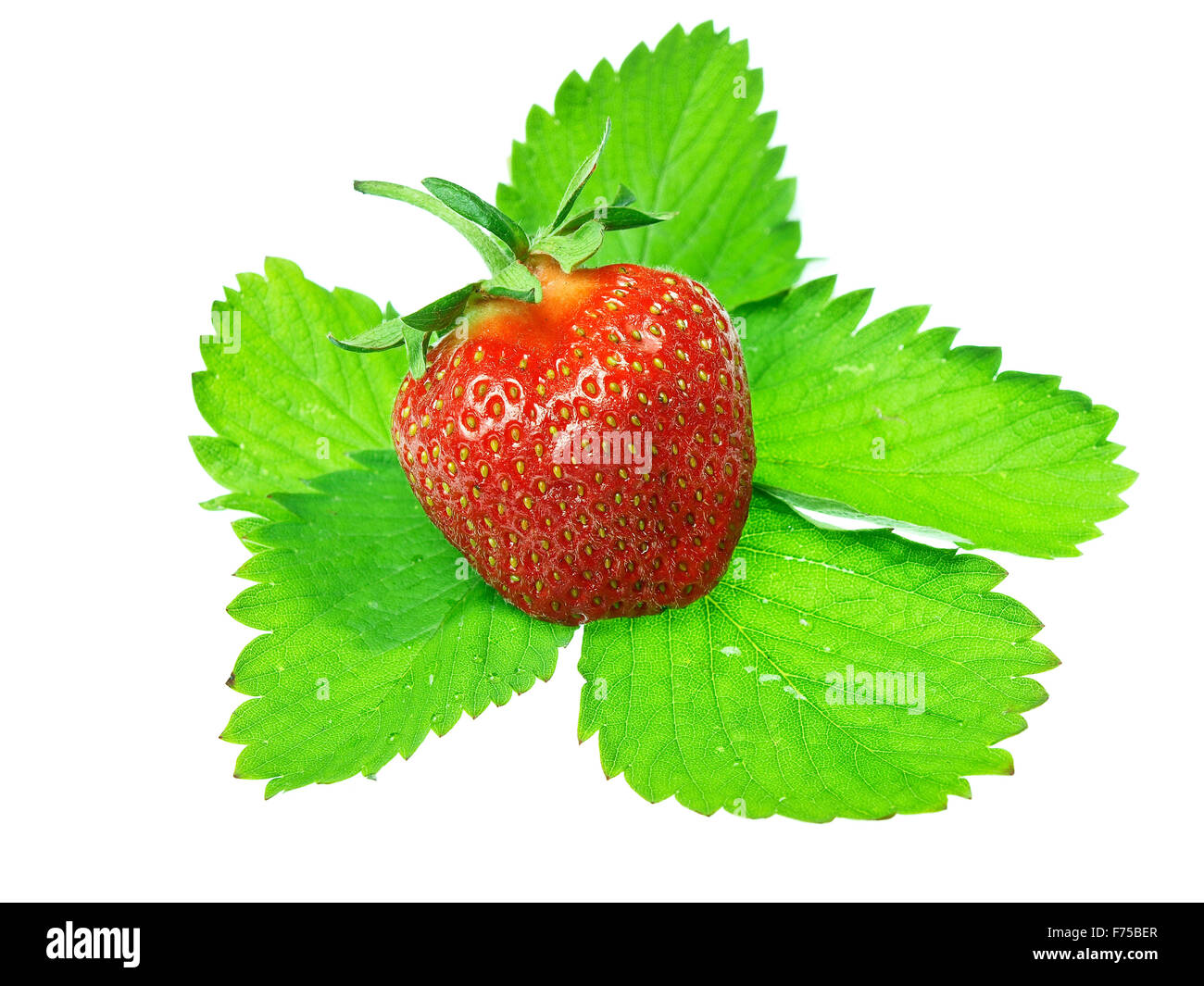 Fresh and tasty strawberries isolated on white background Stock Photo ...