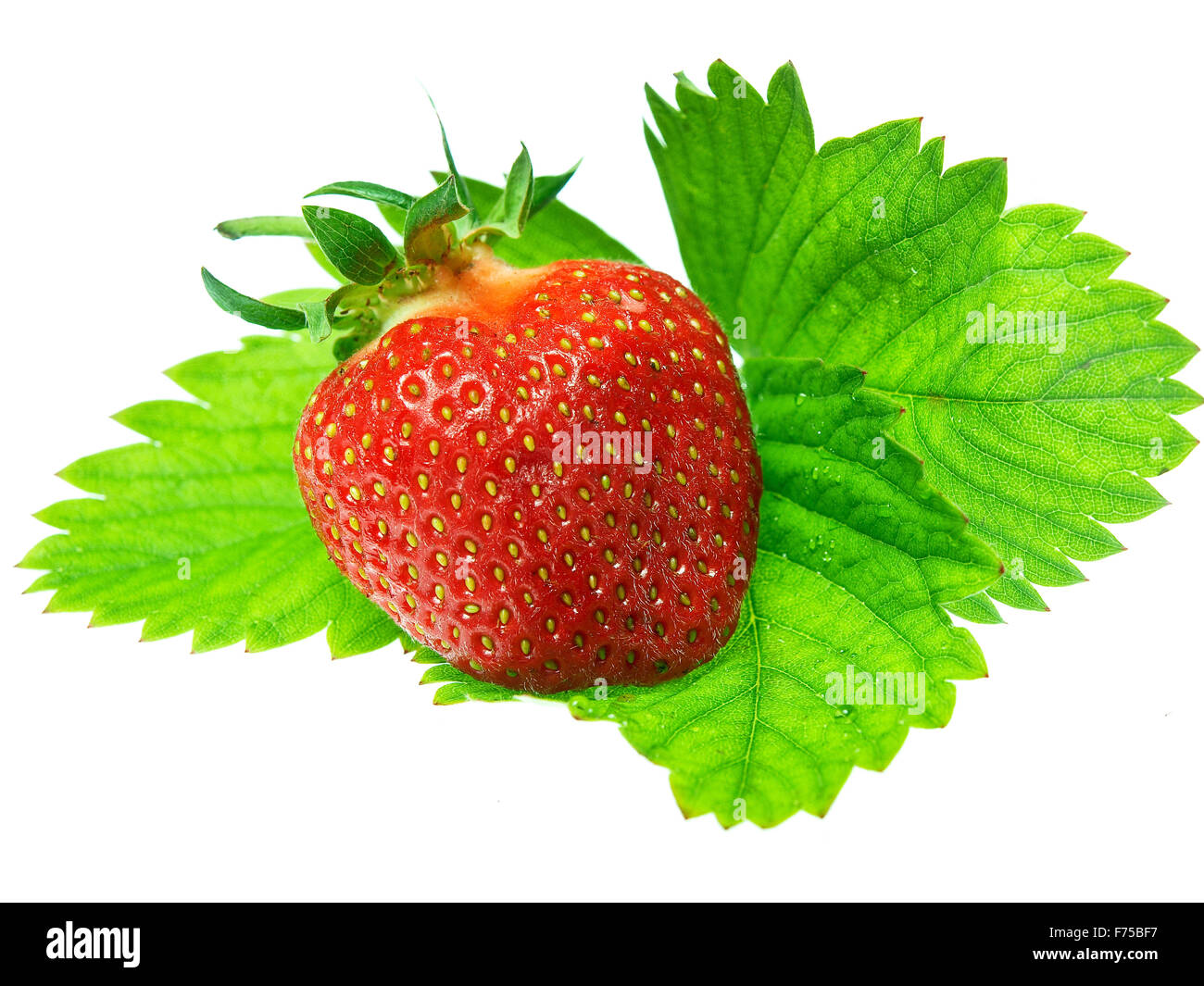 Fresh and tasty strawberries isolated on white background Stock Photo ...