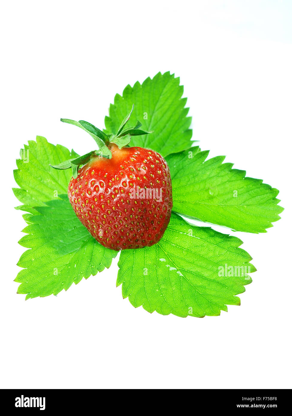 Fresh and tasty strawberries isolated on white background Stock Photo ...