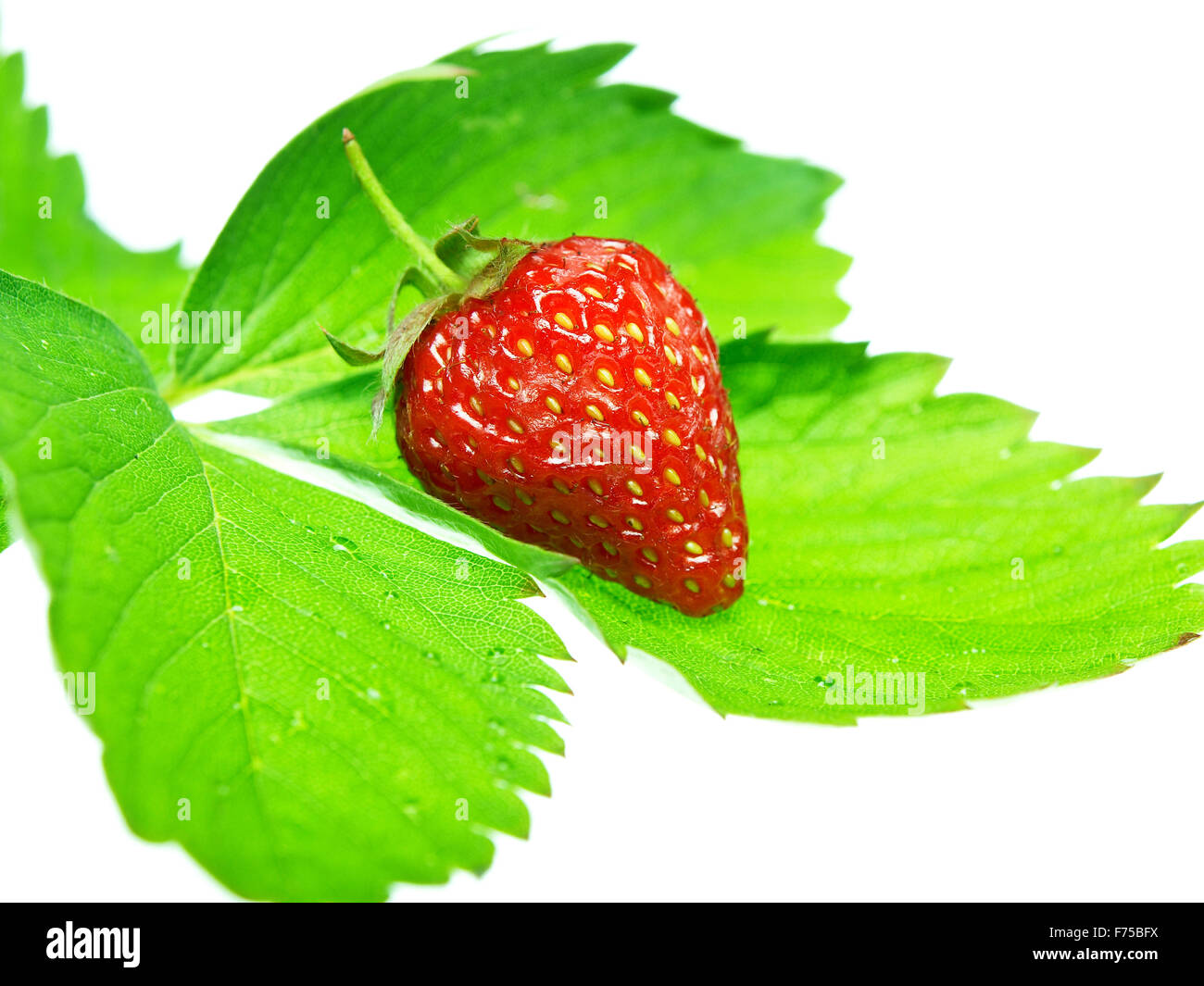 Fresh and tasty strawberries isolated on white background Stock Photo ...