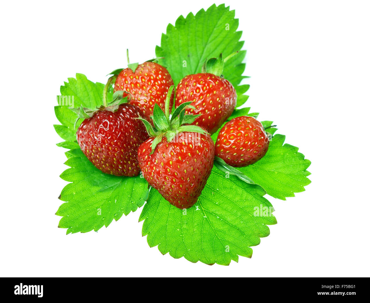 Fresh and tasty strawberries isolated on white background Stock Photo ...