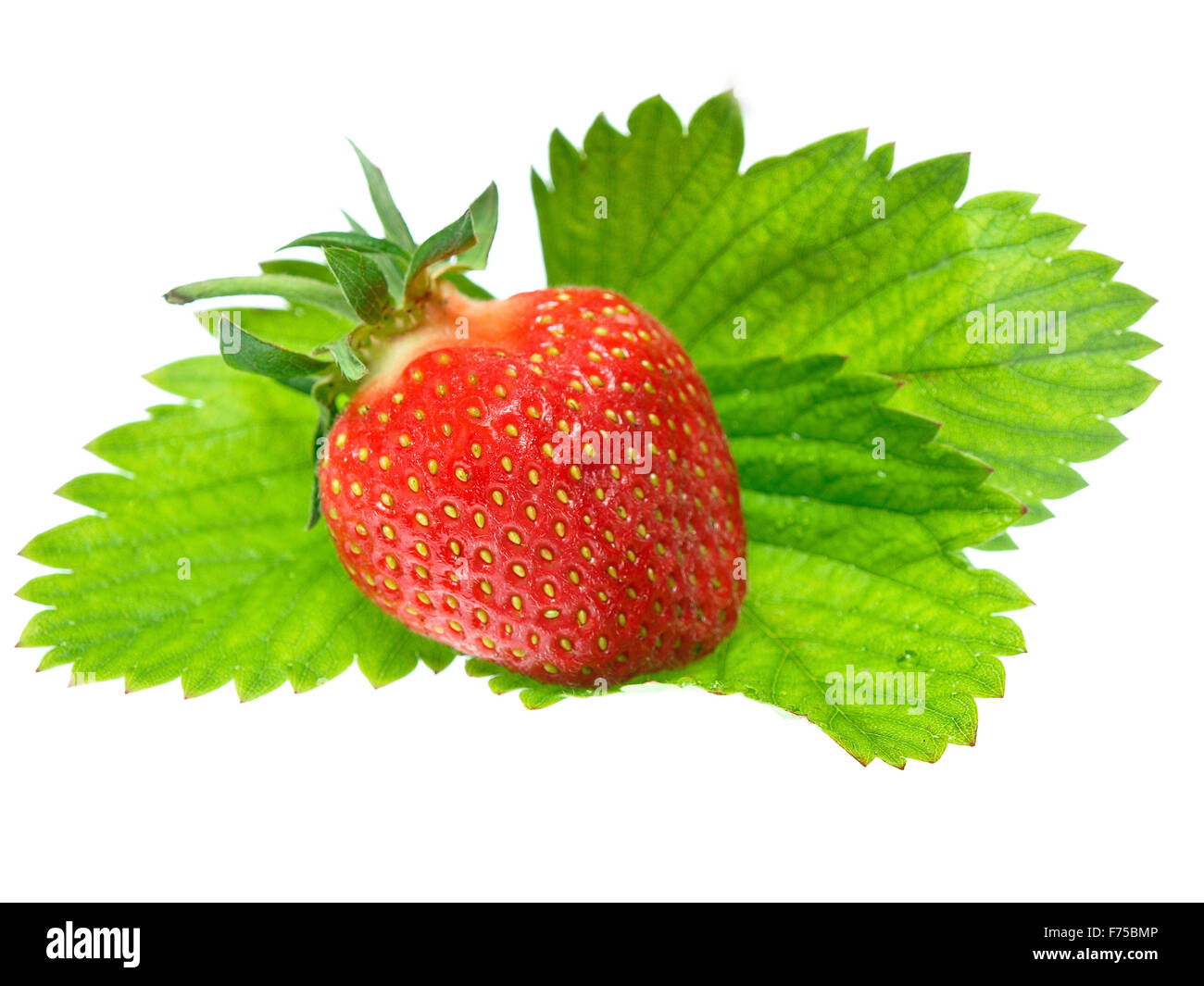Fresh and tasty strawberries isolated on white background Stock Photo ...