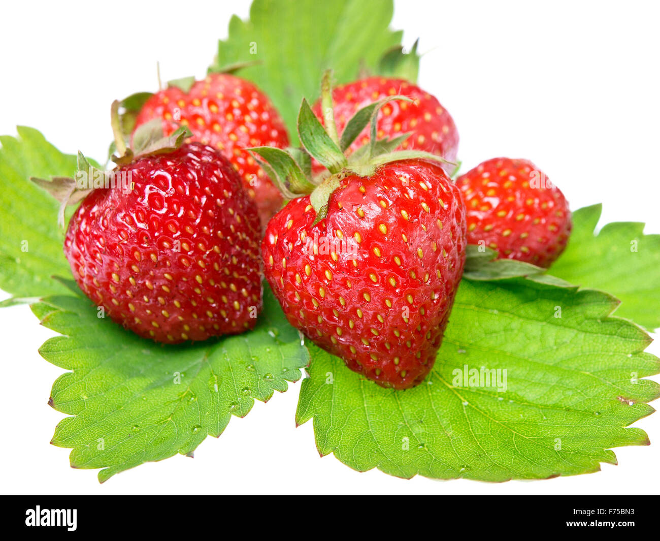 Fresh and tasty strawberries isolated on white background Stock Photo ...
