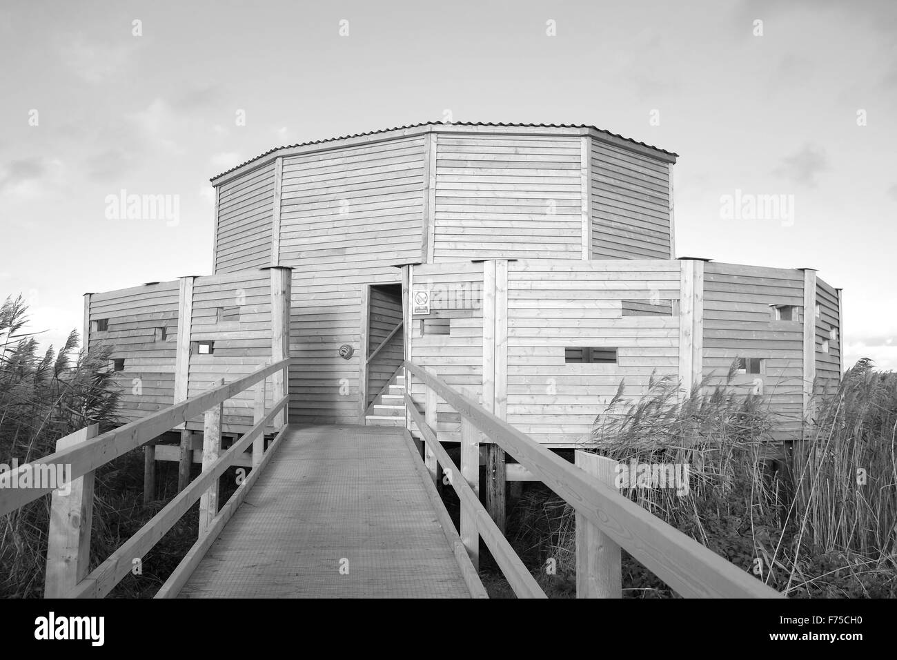 The New (2015) Avalon hide at RSPB Ham Wall Nature reserve Stock Photo