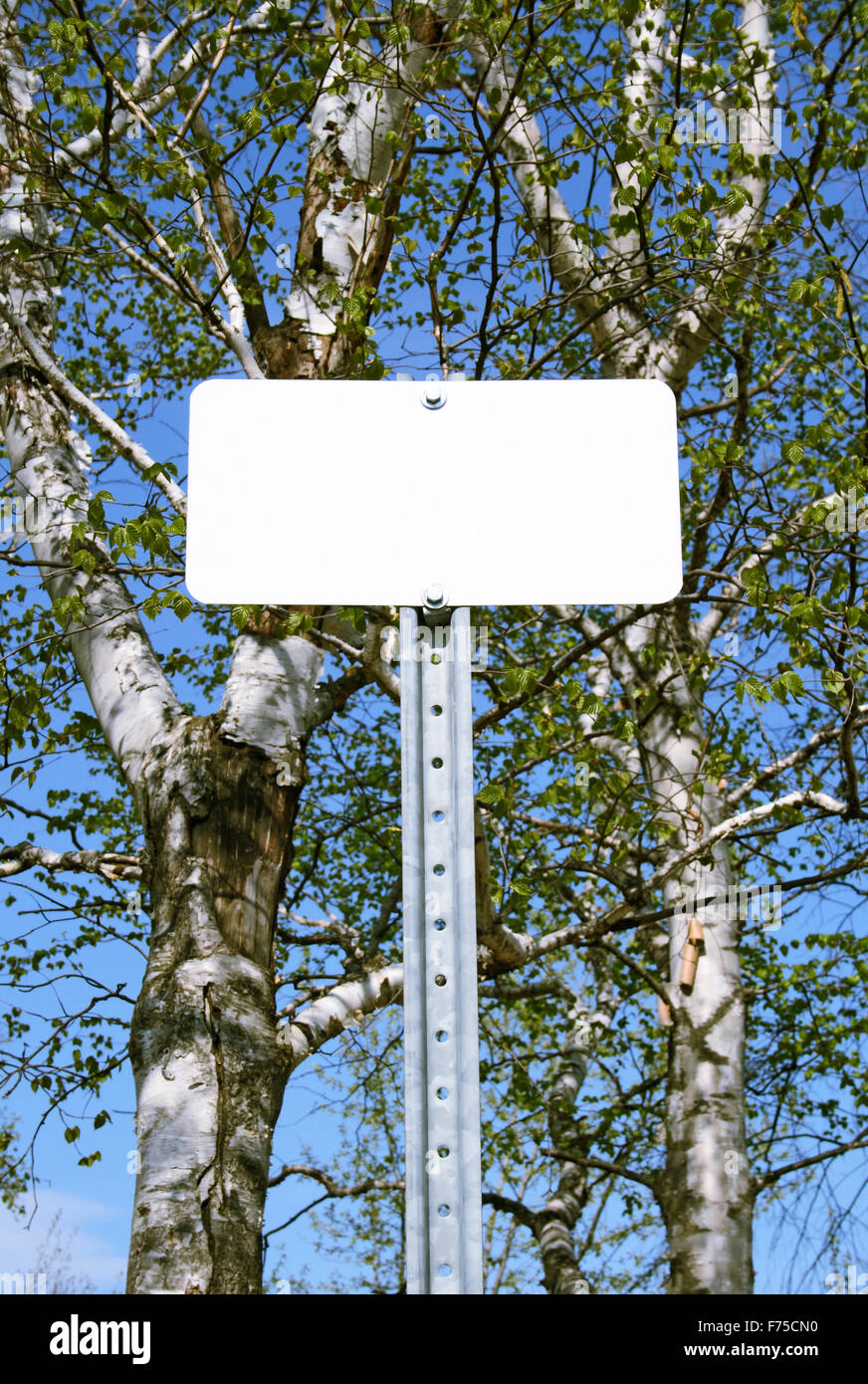 Sign with copy space in spring forest Stock Photo - Alamy