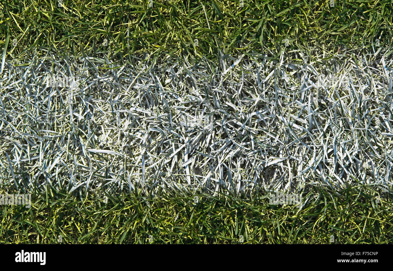 Boundary line of a playing field closeup Stock Photo