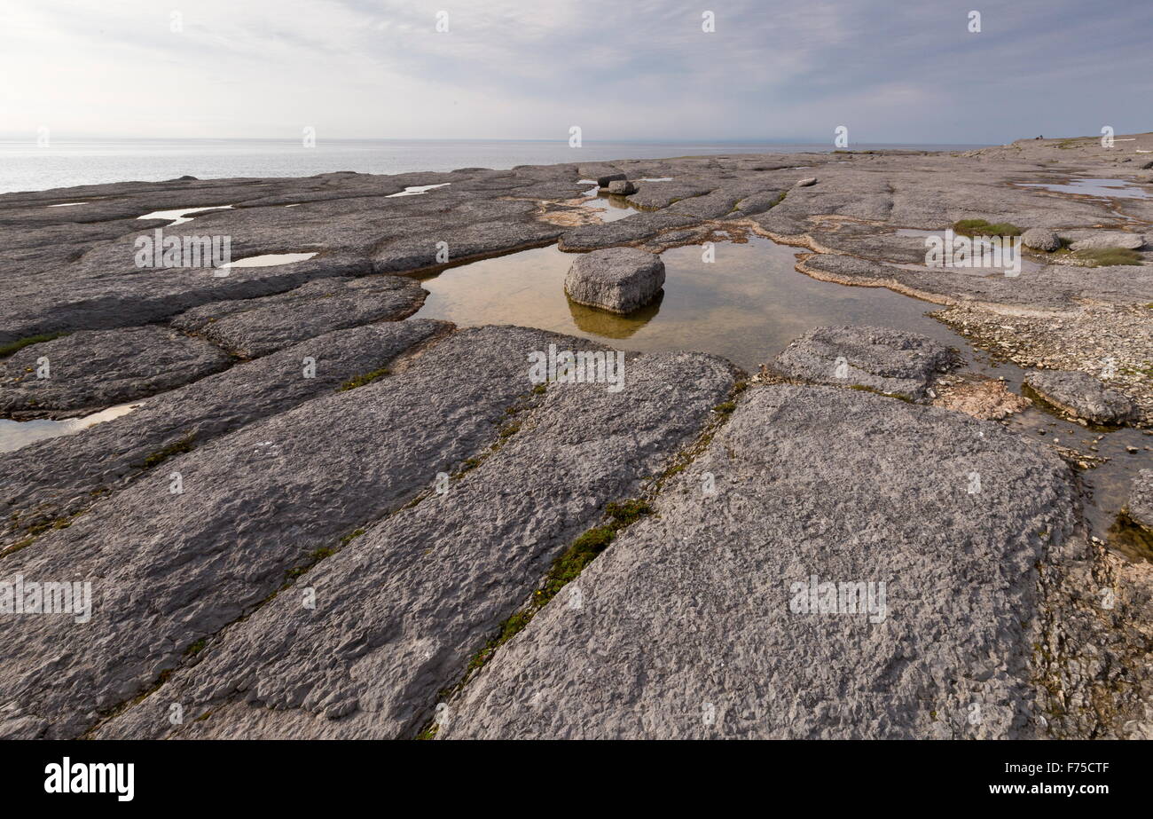 Newfoundland barrens hires stock photography and images Alamy