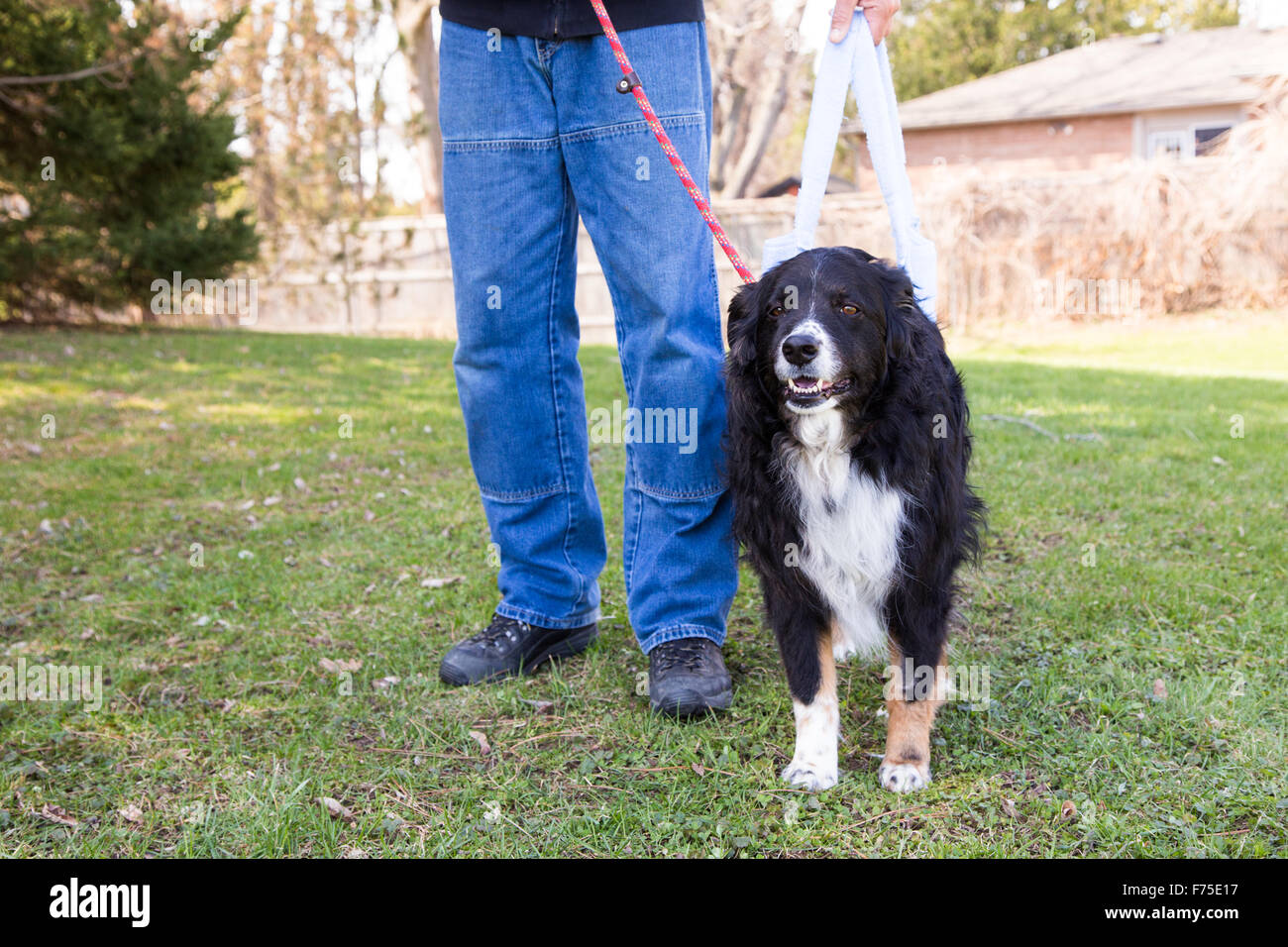 Knee surgery hires stock photography and images Alamy