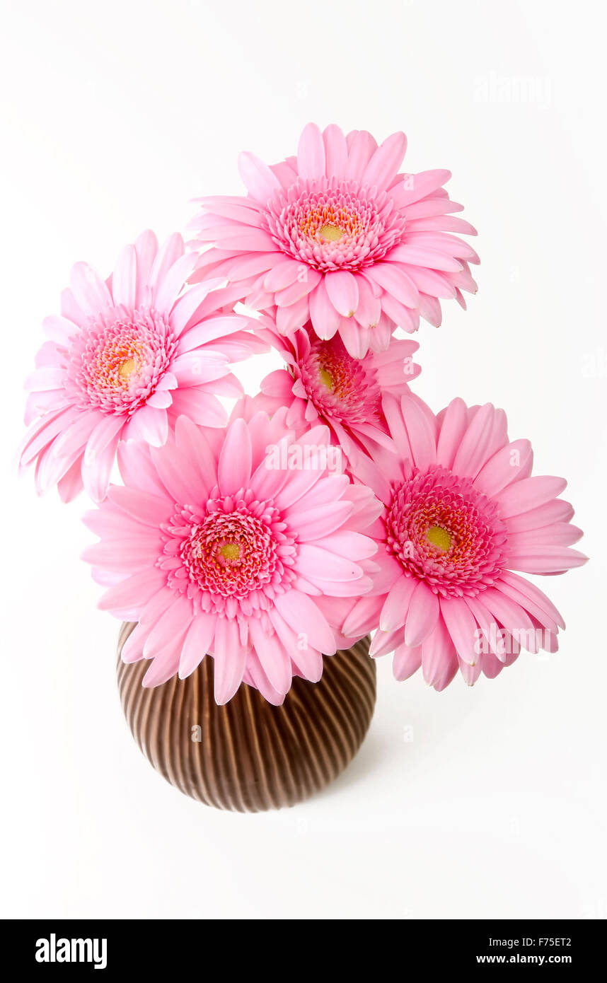 Flowers in vase Stock Photo