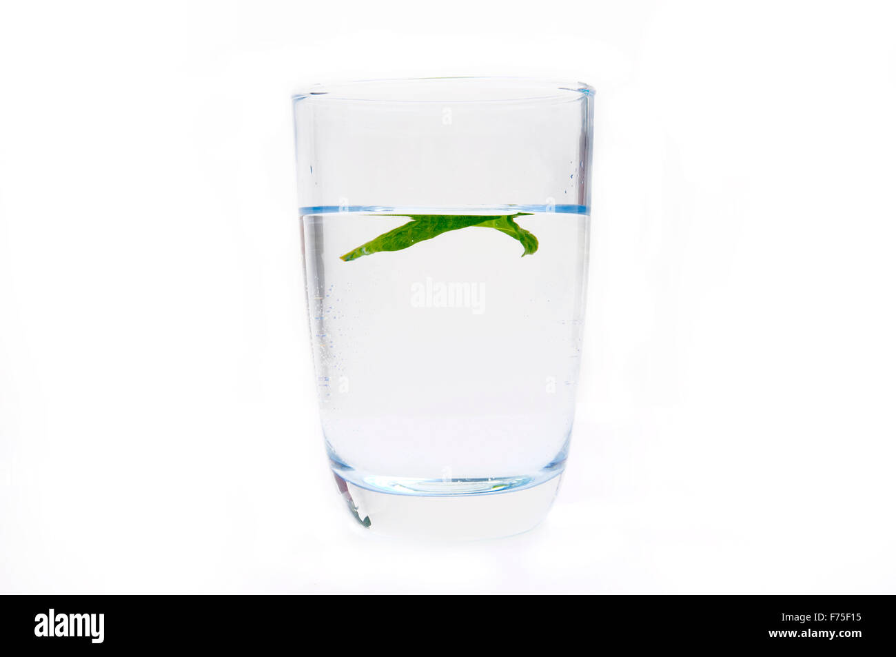 Glass of water with mint Stock Photo