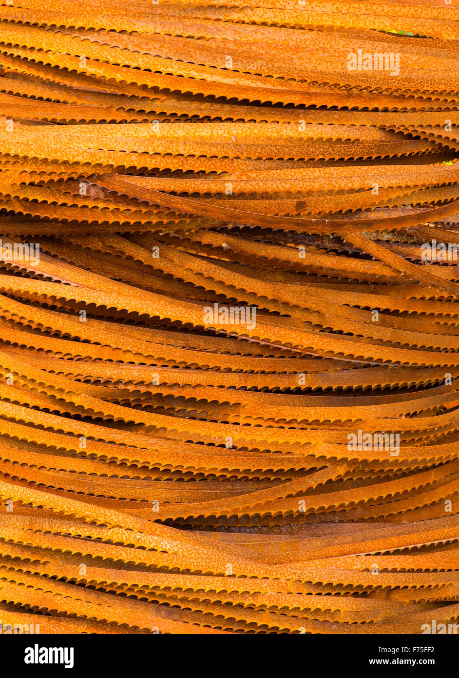 Stack of bandsaw blades Stock Photo Alamy