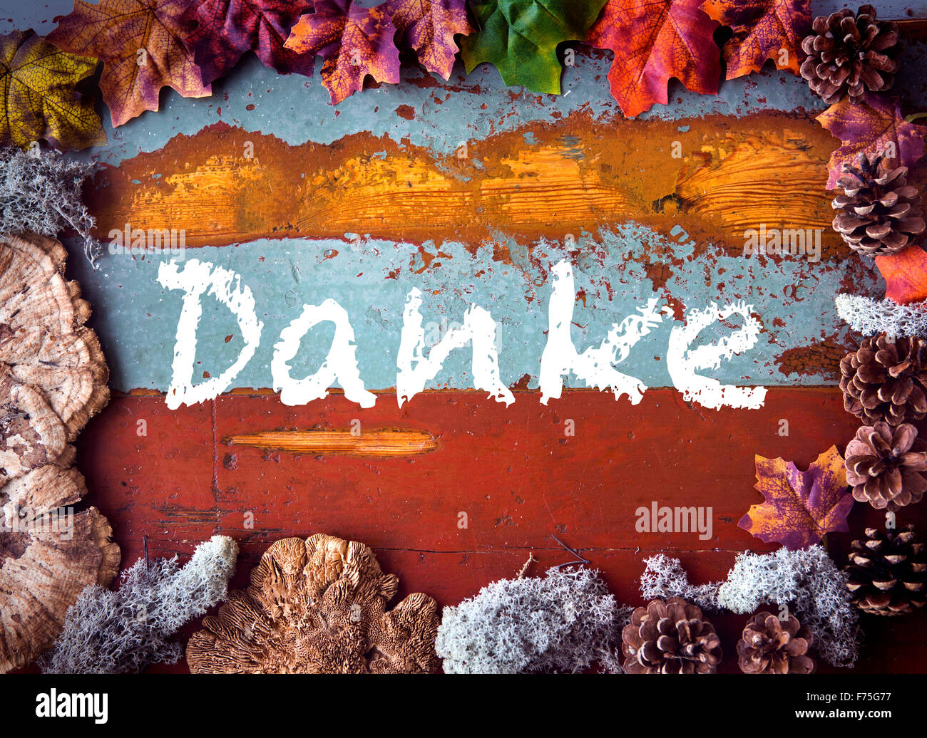 german word 'Danke' (thank you) written on wooden vintage board with pinecones and leaves Stock Photo