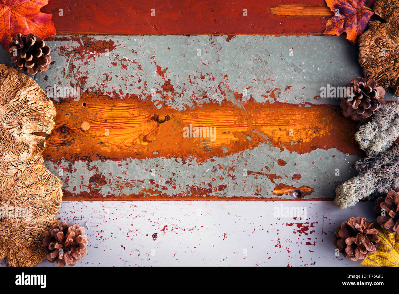 background vintage wooden board with pinecones and leaves Stock Photo ...